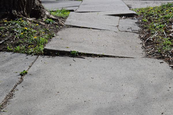 Cost of Trip Hazard Removal in Indianapolis
